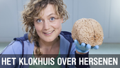 Afbeelding van Het Klokhuis